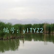 ȫ