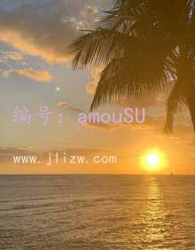 ḻ