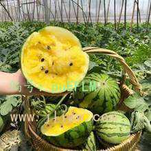 Сħ